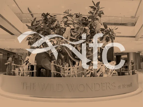 IFC <br /> SUMMER BOOTH